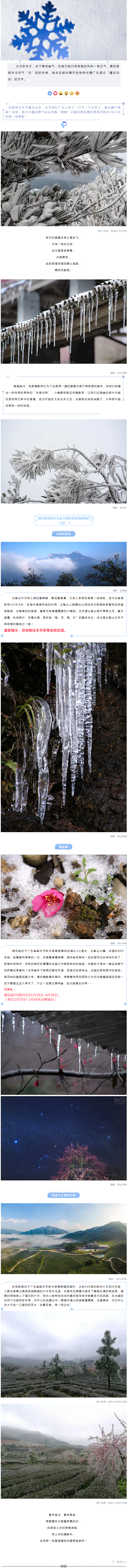 寒霜微裹，冰晶悬挂，新丰也悄悄下了第一场雪.png