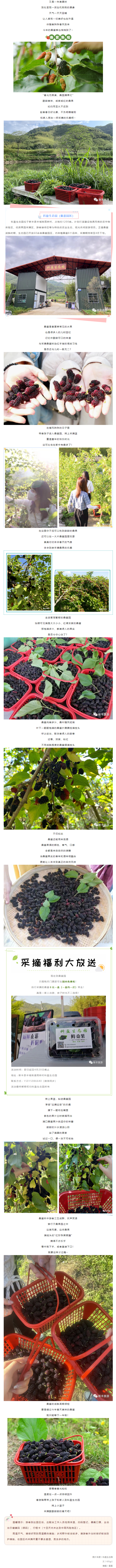 screencapture-mp-weixin-qq-s-29iVSNYUu8Xk4kpn8Xe7RQ-2022-04-13-20_22_53.png