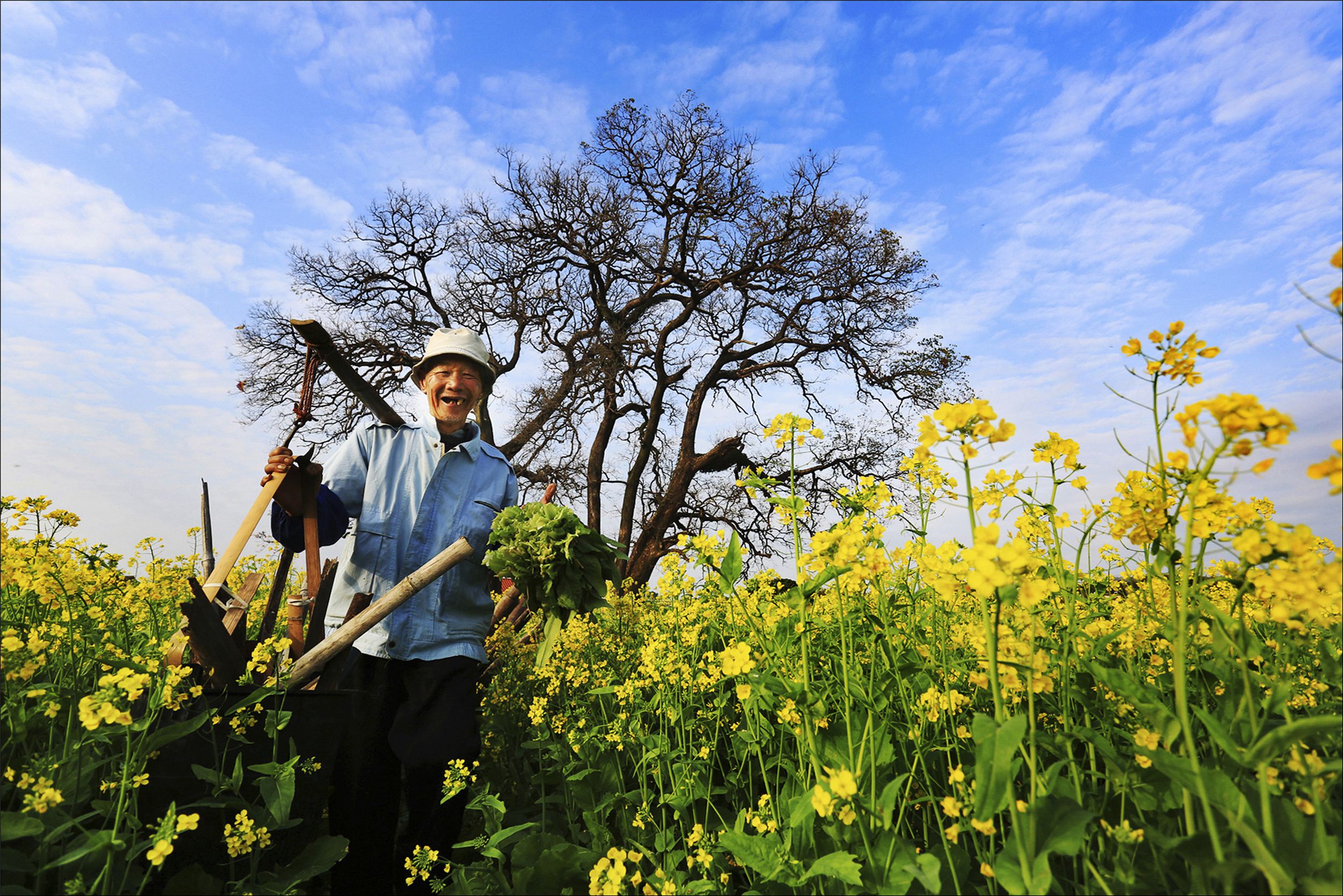 21优秀奖《快乐菜农》_副本.jpg